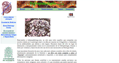 Desktop Screenshot of kidneypathology.com